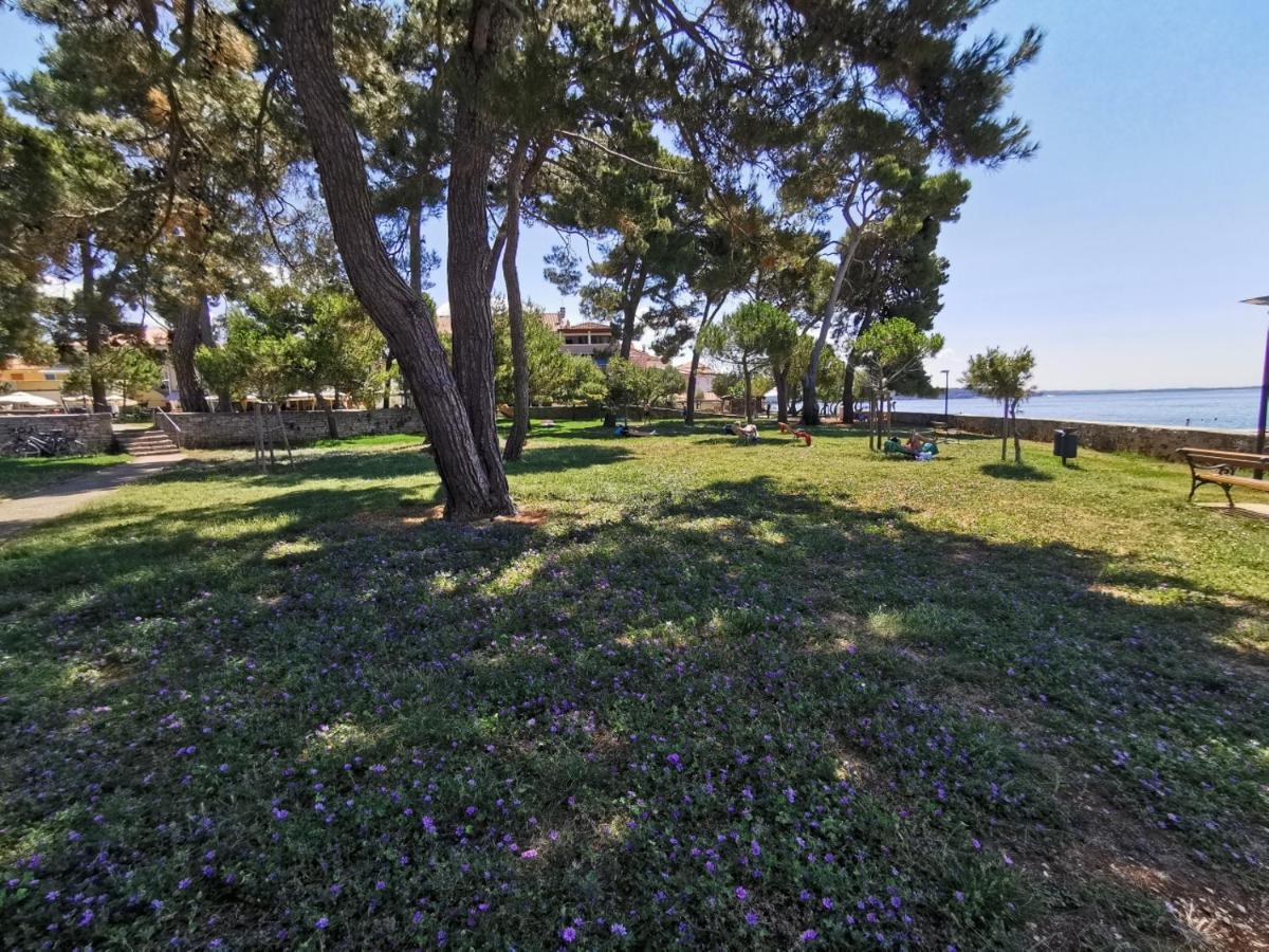 Stella Deluxe Superior 5 Star Apartment, Your Piece Of Heaven By The Sea & Park, With Sea View Novigrad  Exterior photo